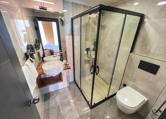 Oji Boutique 酒店 阿拉尼亚